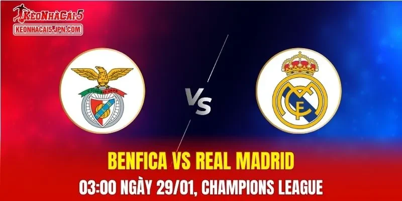 Nhận Định, Soi Kèo Bóng Đá Benfica vs Real Madrid 03:00 Ngày 29/01: Gã Khổng Lồ Tây Ban Nha Vượt Trội