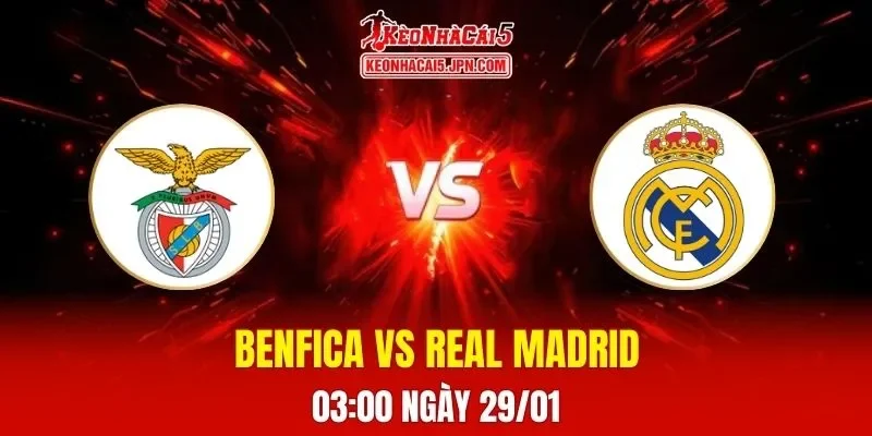 Soi Kèo Tài Xỉu, Phạt Góc Trận Benfica Vs Real Madrid, 03:00 Ngày 29/01 