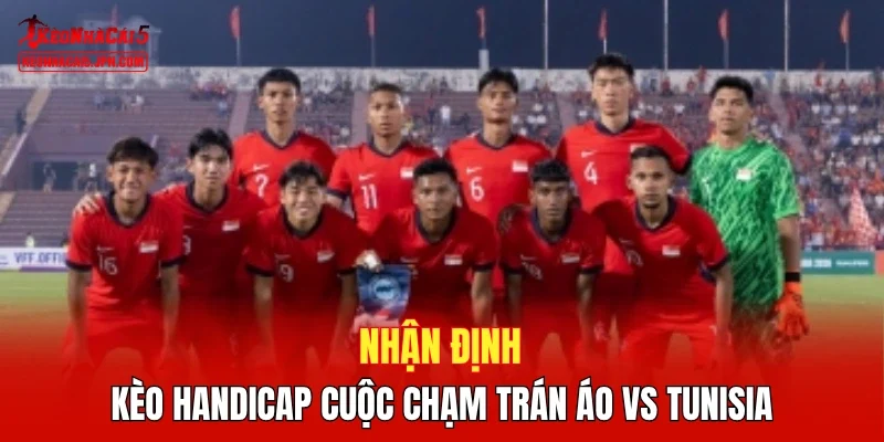 Nhận định kèo handicap cuộc chạm trán Áo vs Tunisia 